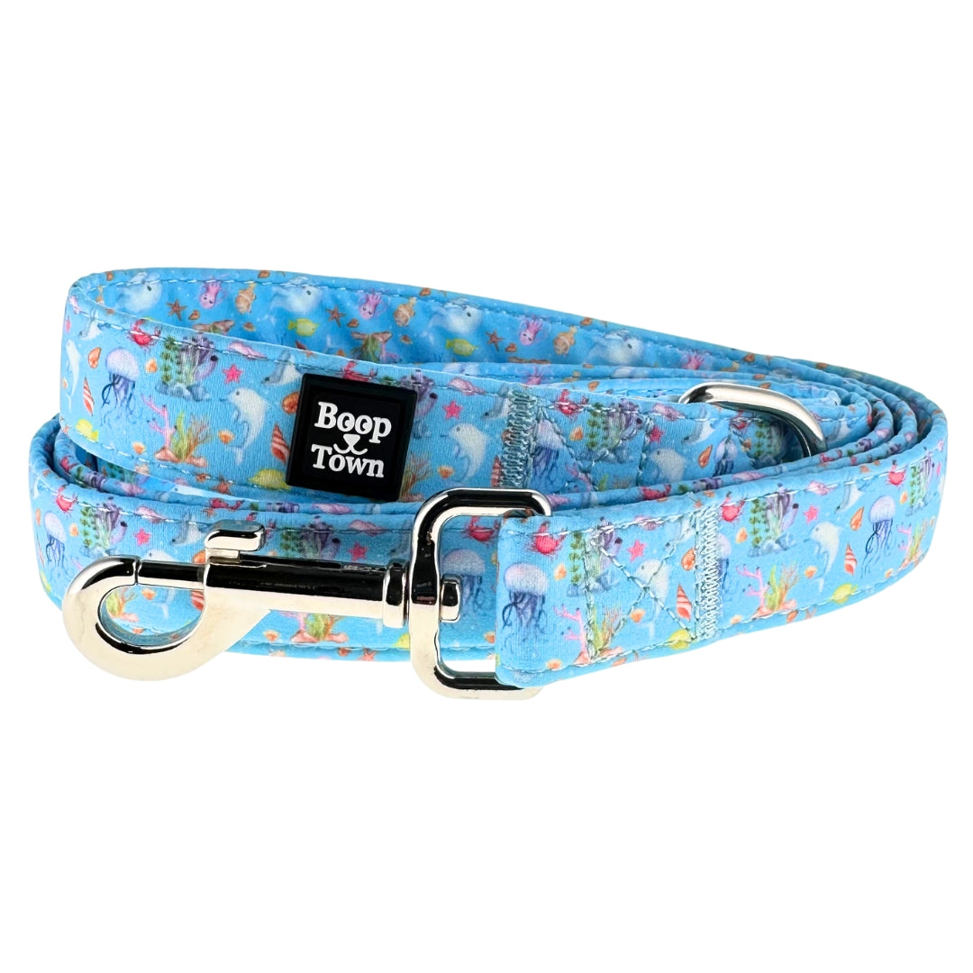 Dog Leashes