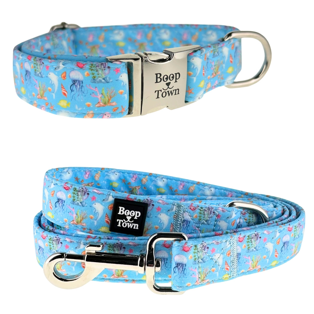Dog Collar & Leash Sets