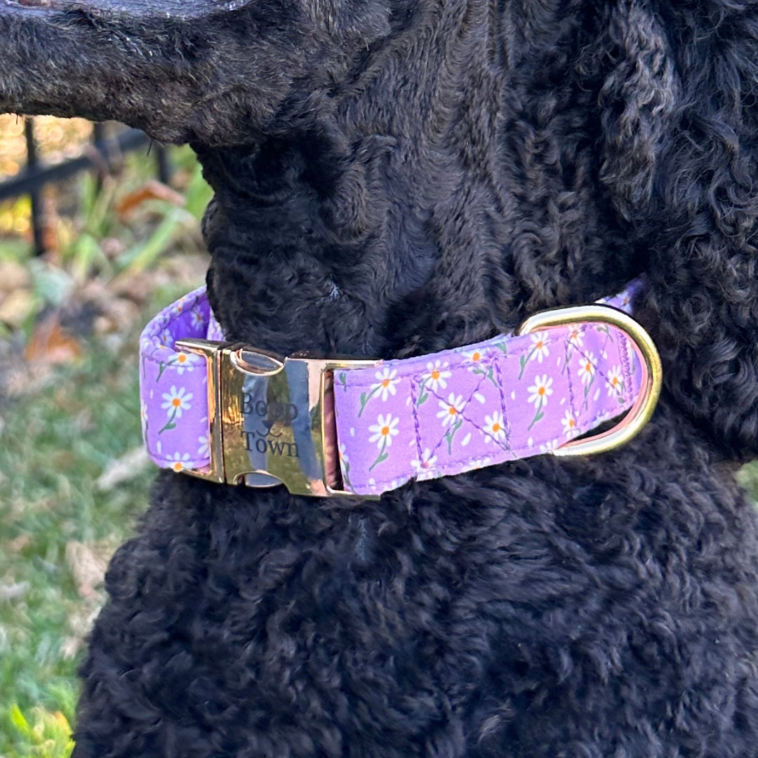Purple Daisy Collar