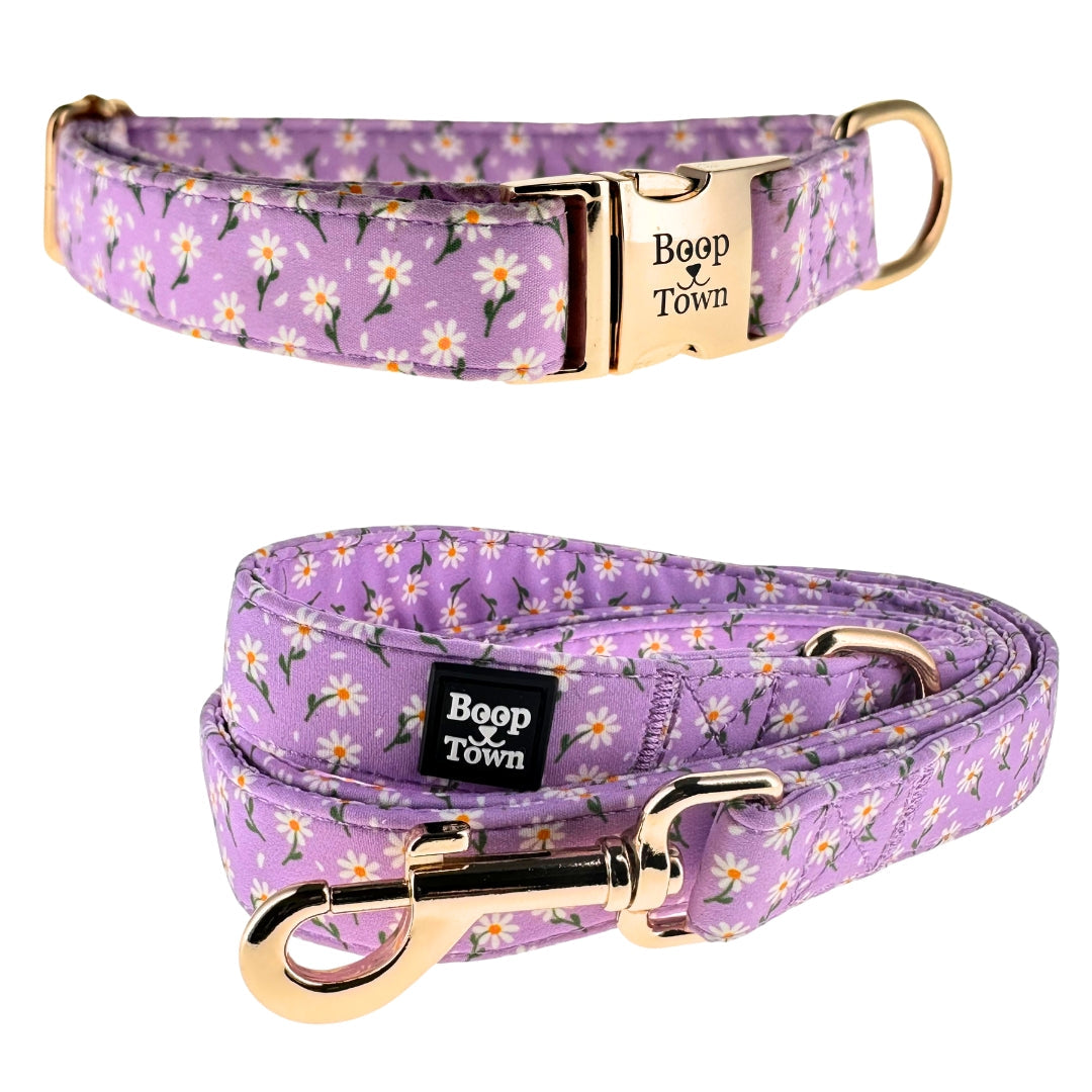 Purple Daisy Collar + Leash Set
