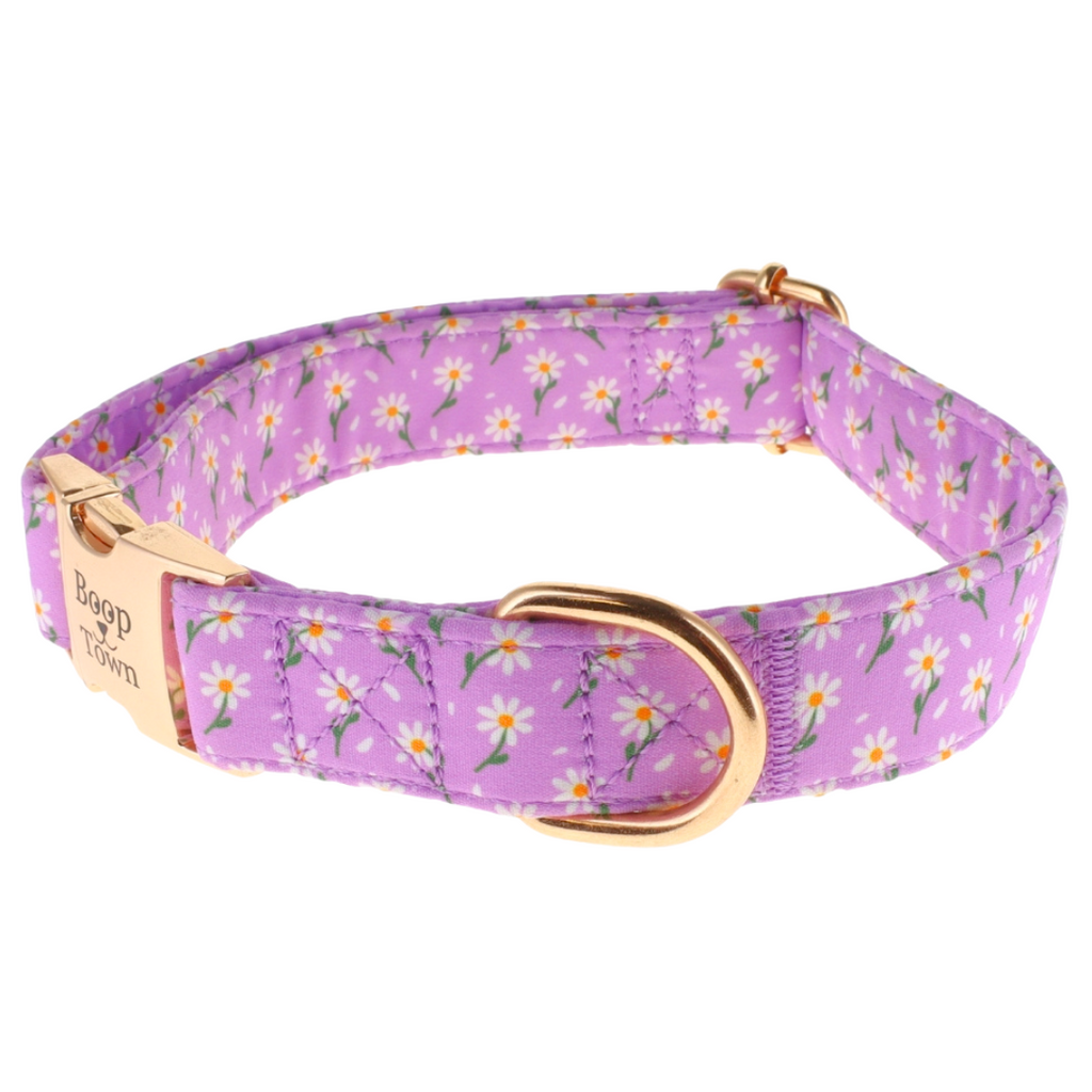 Purple Daisy Collar