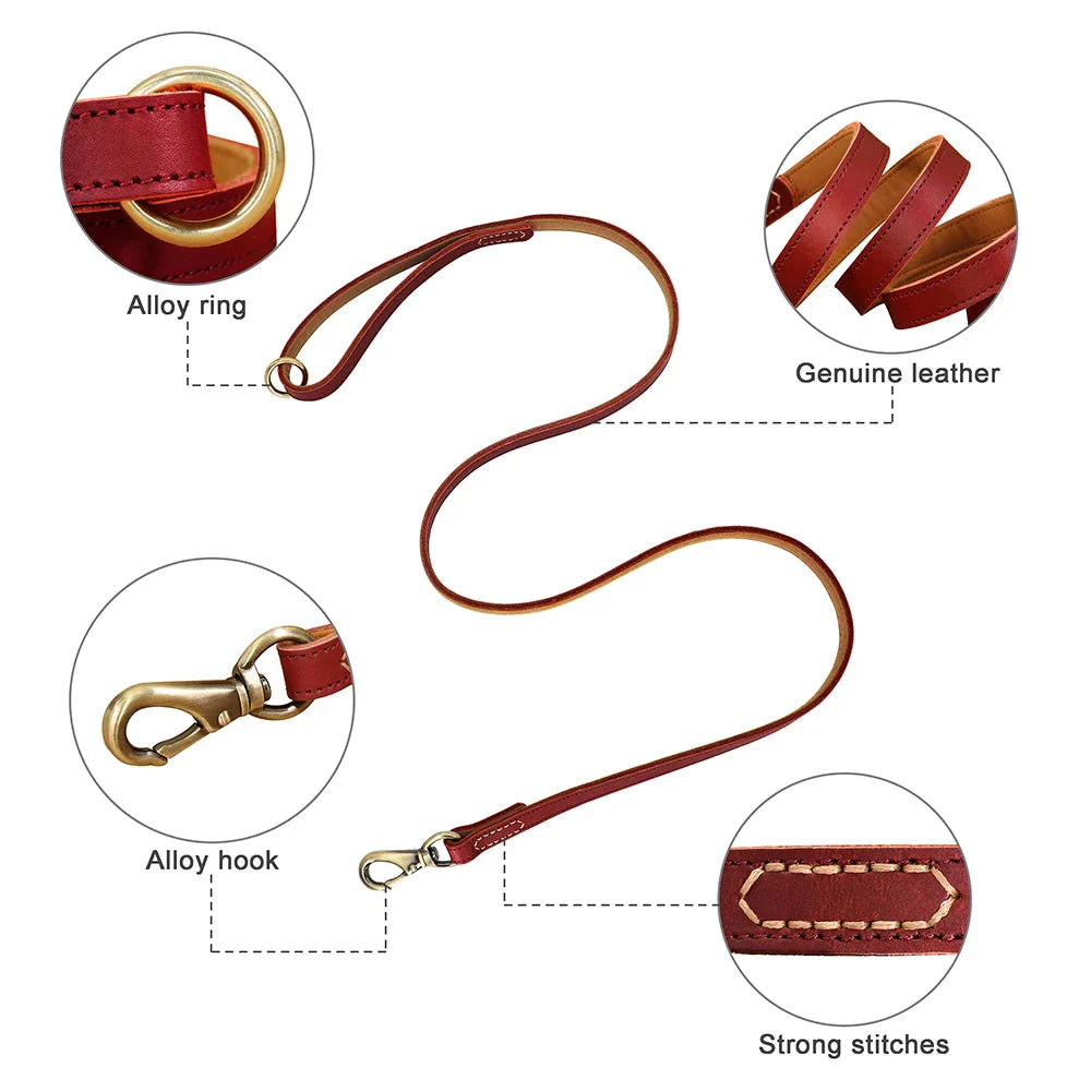 The Classic Leather Lead